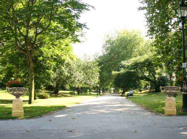 View with Warwick Vases